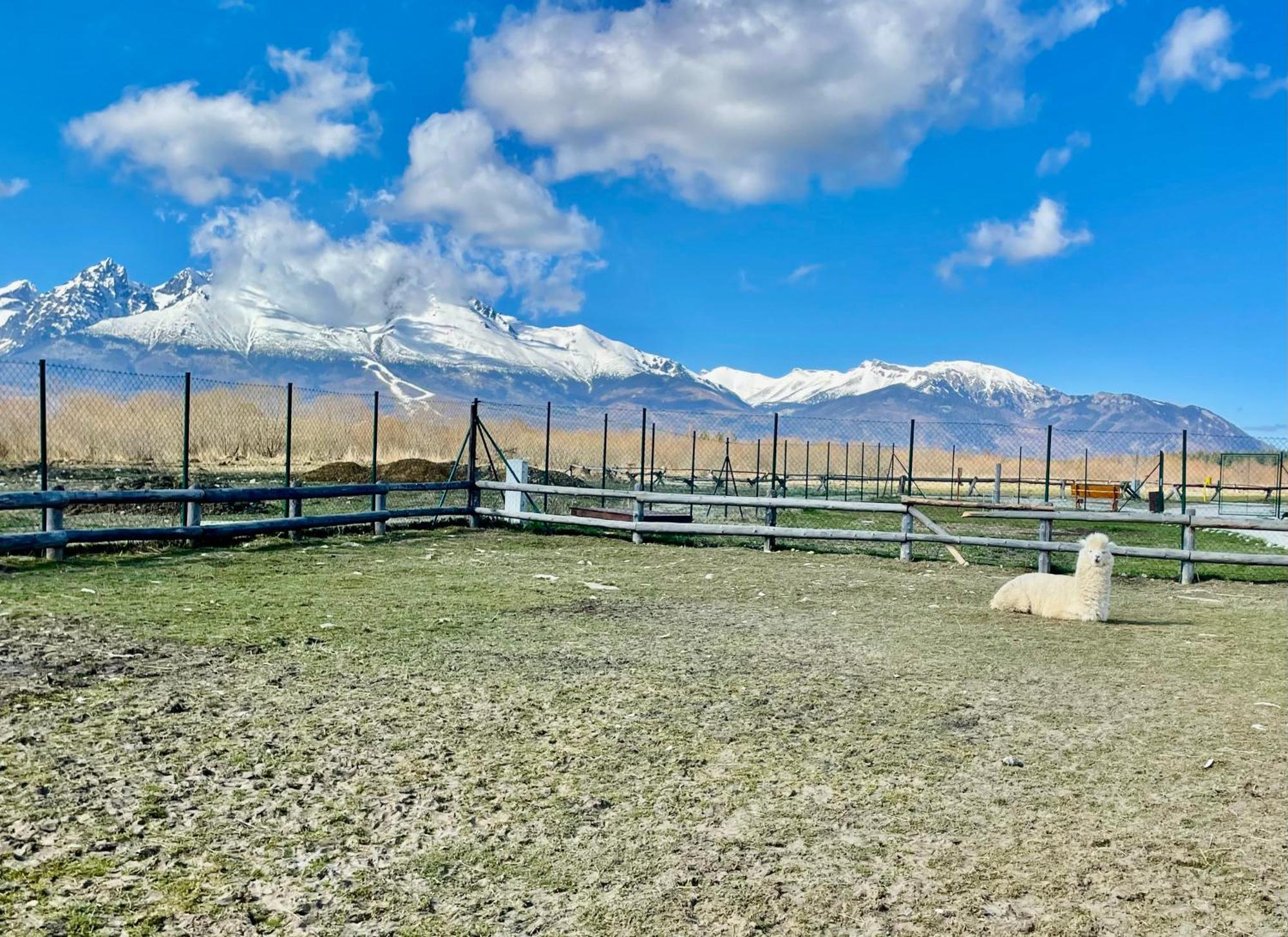 Apartment Kimo - Stunning View Of High Tatras Велка Ломница Екстериор снимка